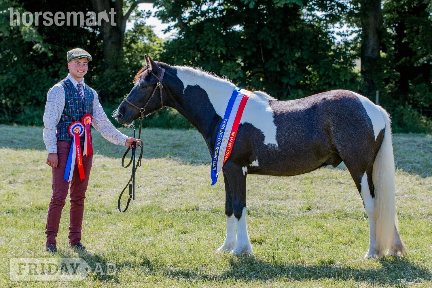 Cambridge "Campion Rumbaba" Piebald Gelding All Rounder