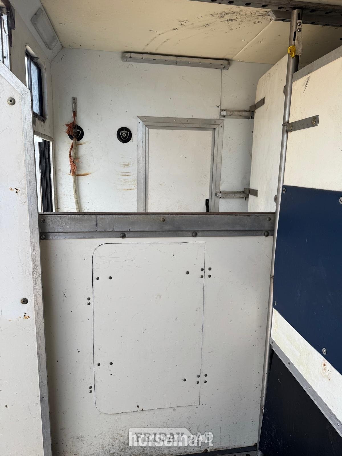 Mercedes-Benz Horsebox - Trailers & Horseboxes