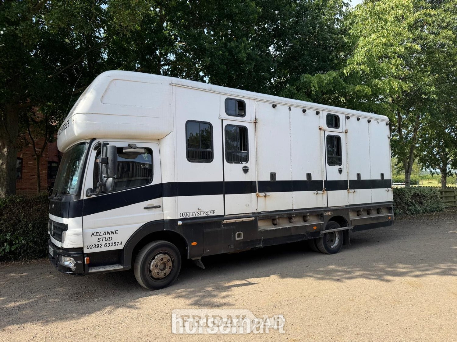 Mercedes-Benz Horsebox in Southwell