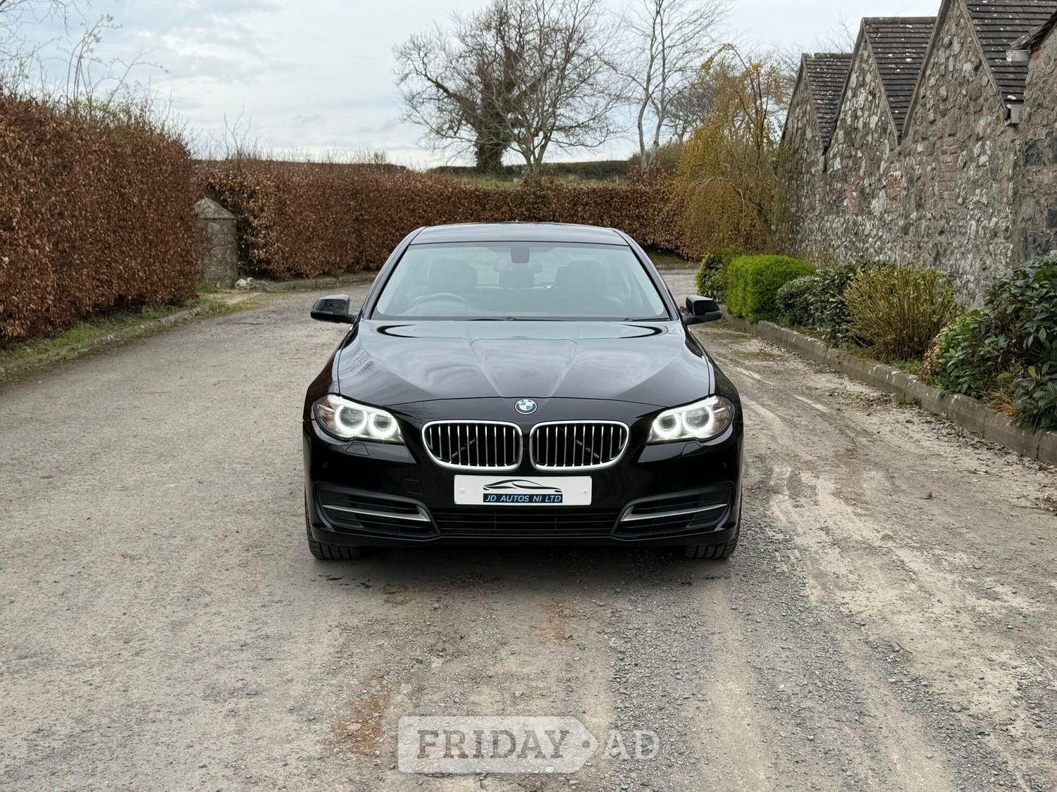BMW 5 Series Craigavon
