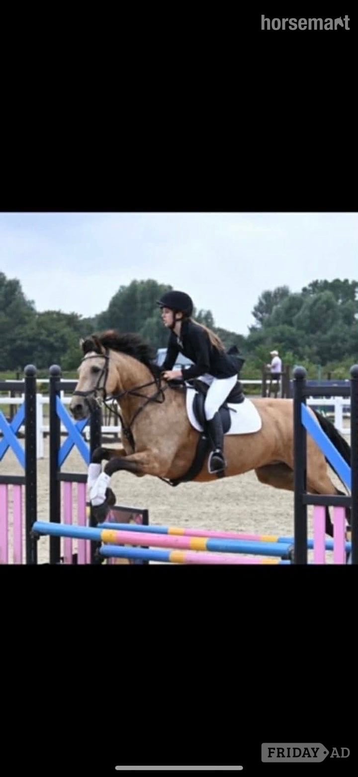 "K" Dun Mare All Rounder in Cardiff