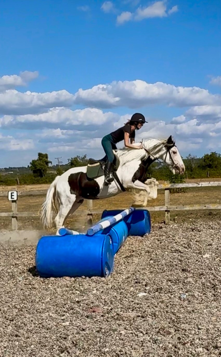 "DREAM" Piebald Mare All Rounder