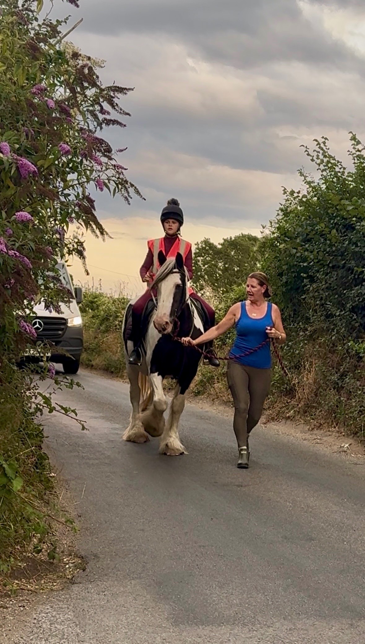 Wilmington "DREAM" Piebald Mare All Rounder