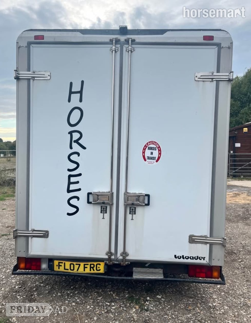 Happy Horse Boxes  Vauxhall Horsebox - Trailers & Horseboxes in West Wittering
