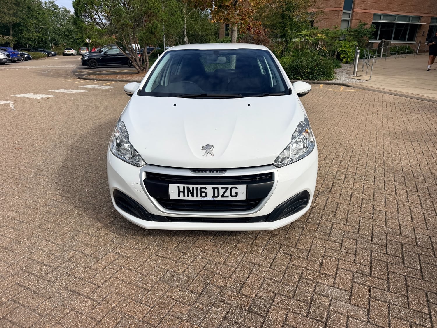 [ berth ]Peugeot 208