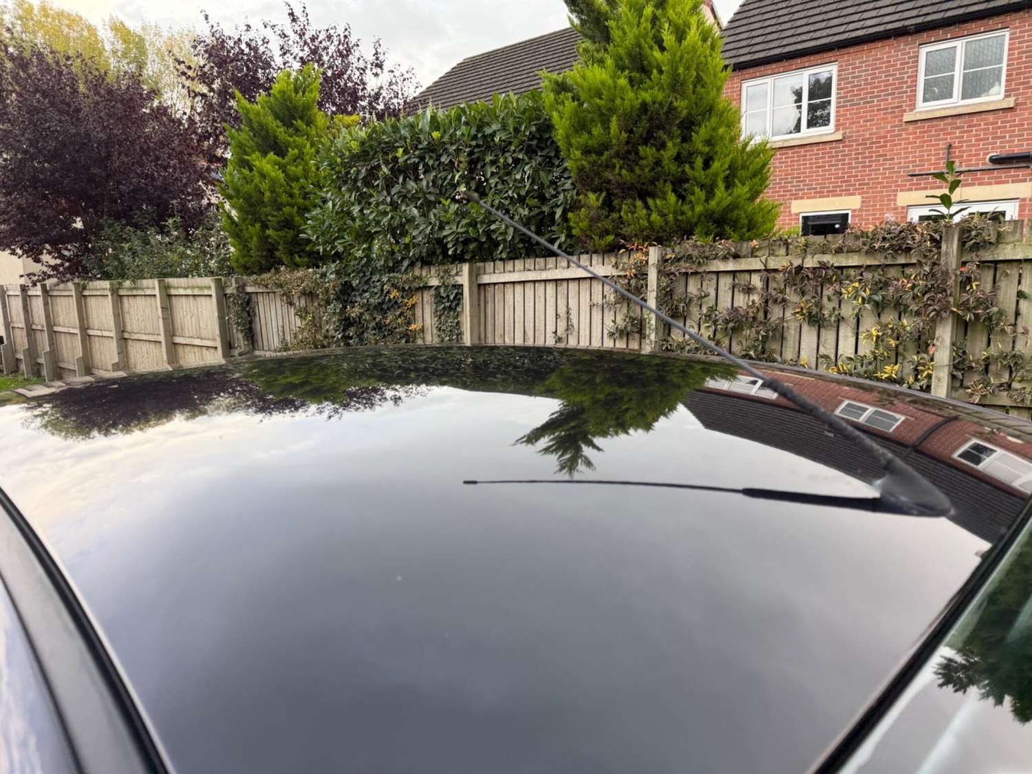 [ berth ]Ford Fiesta