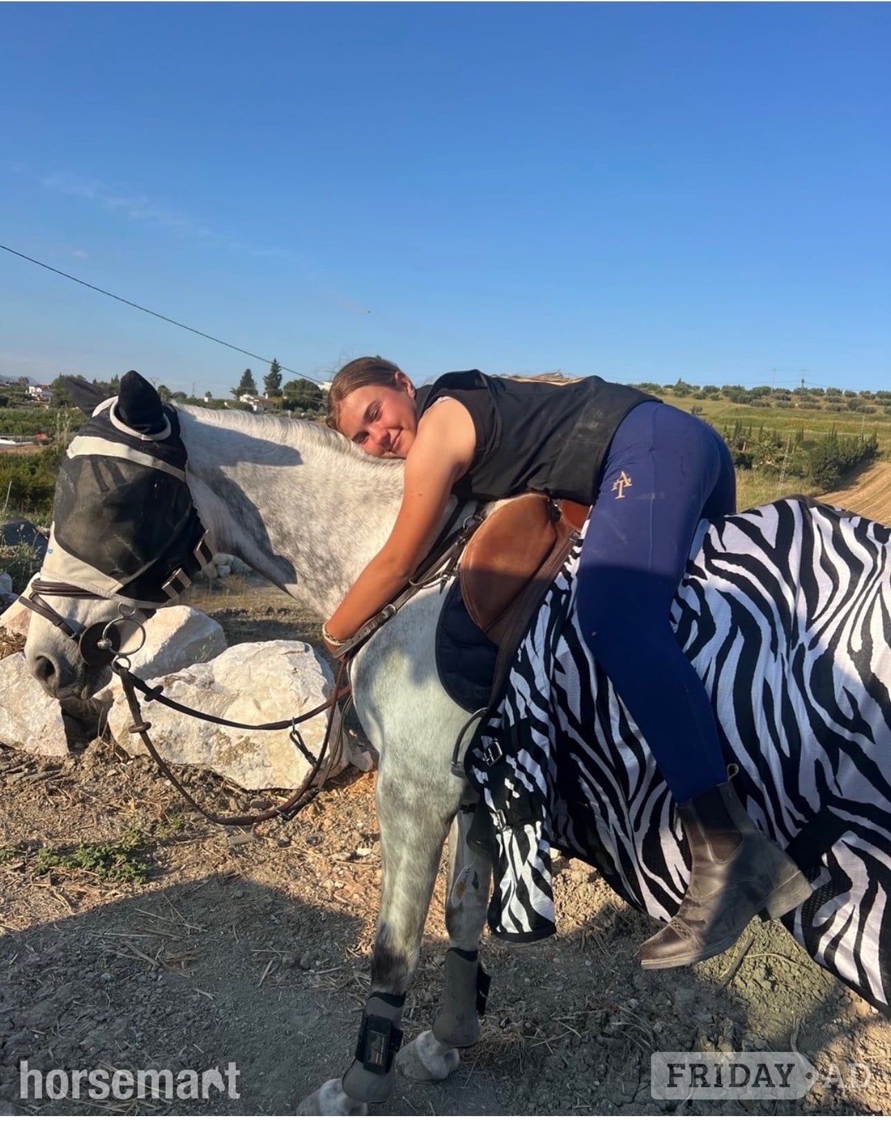 "Miley" Grey Mare All Rounder