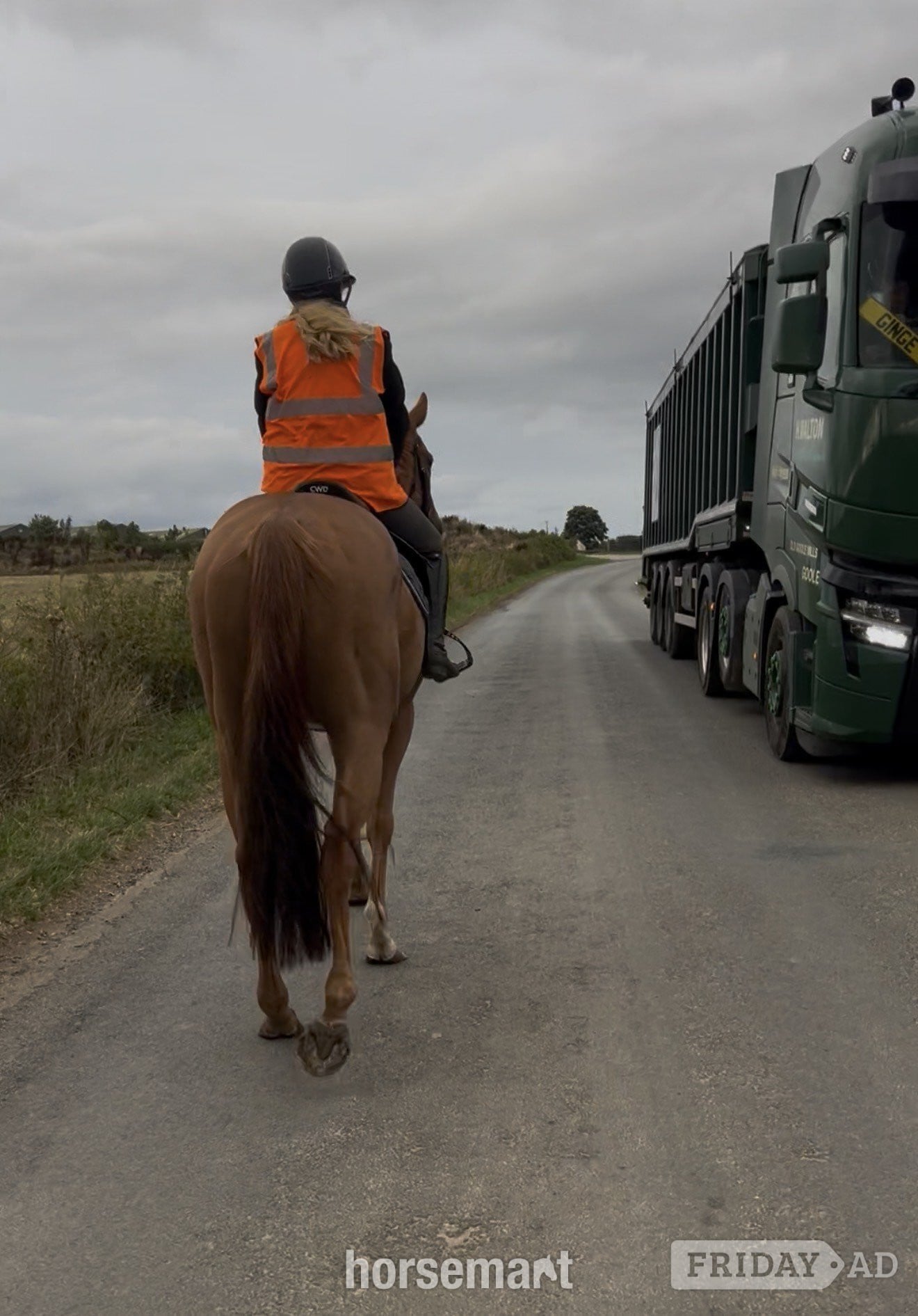 Bedale "Gaston (The Young Adonis)" Chestnut Gelding All Rounder