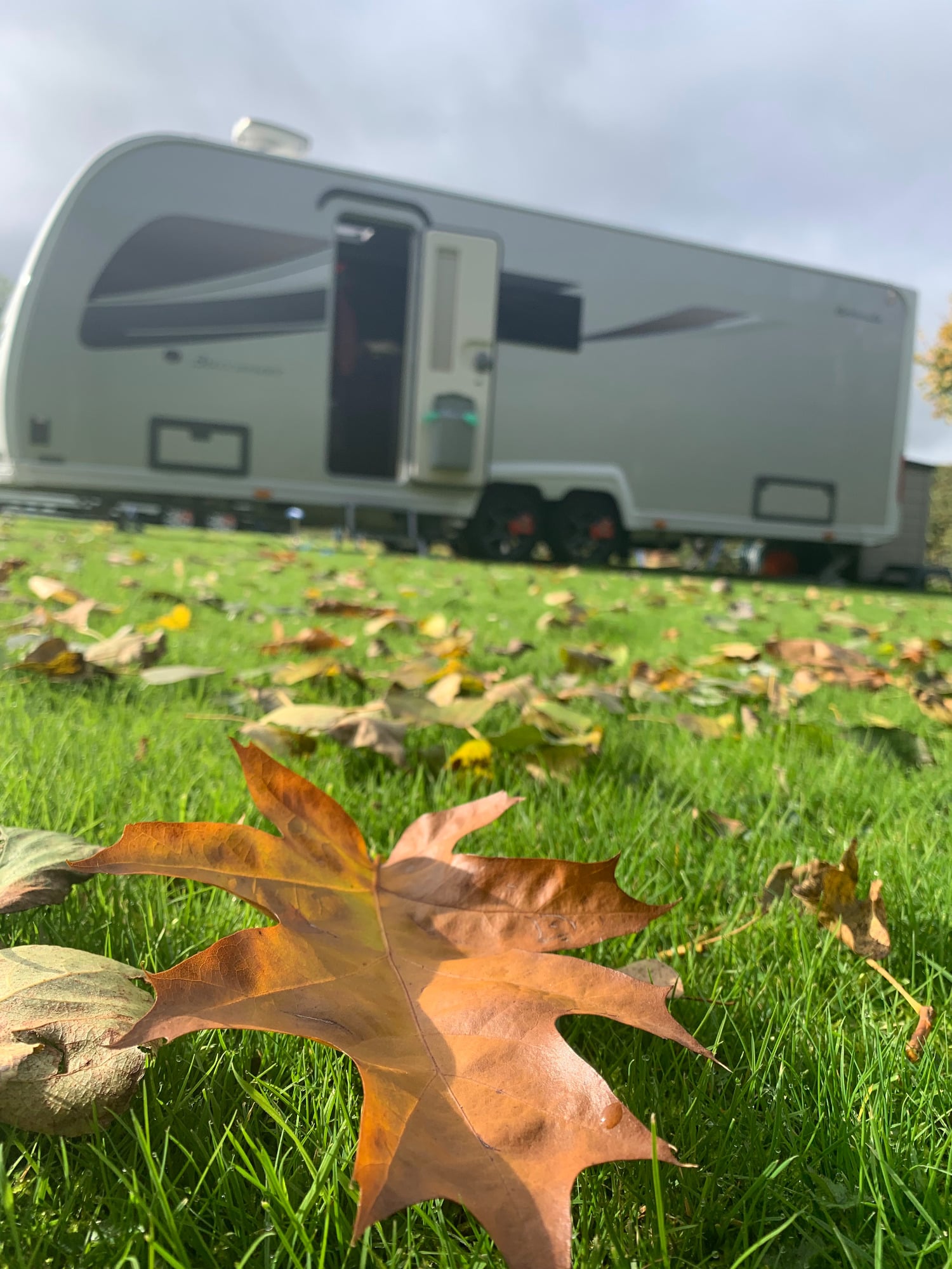 Buccaneer Skyliner Bermuda 2021 - Motorhomes & Caravans in Lancaster