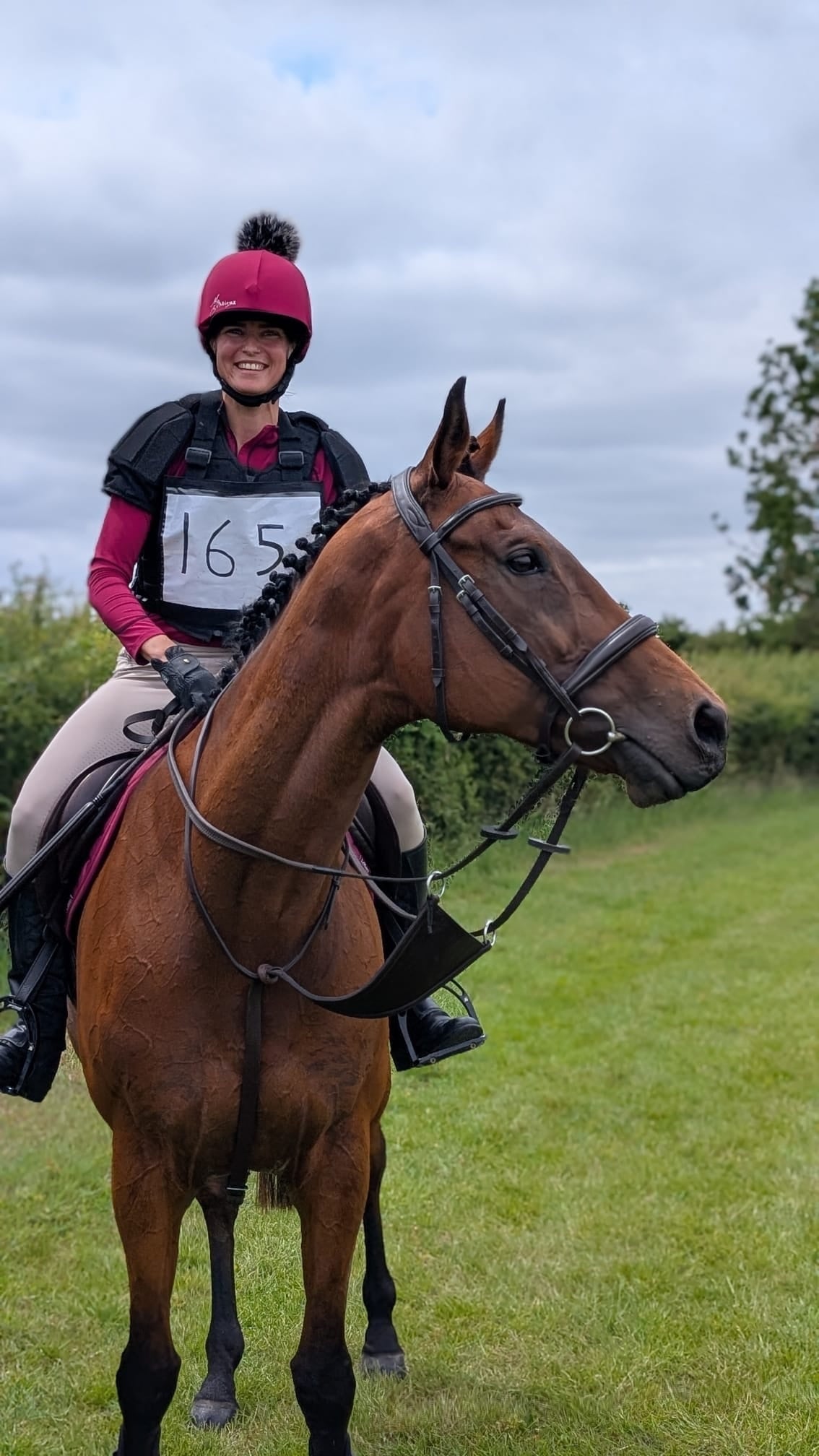 "Kira" Bay Mare All Rounder - Horses in Bishop's Stortford