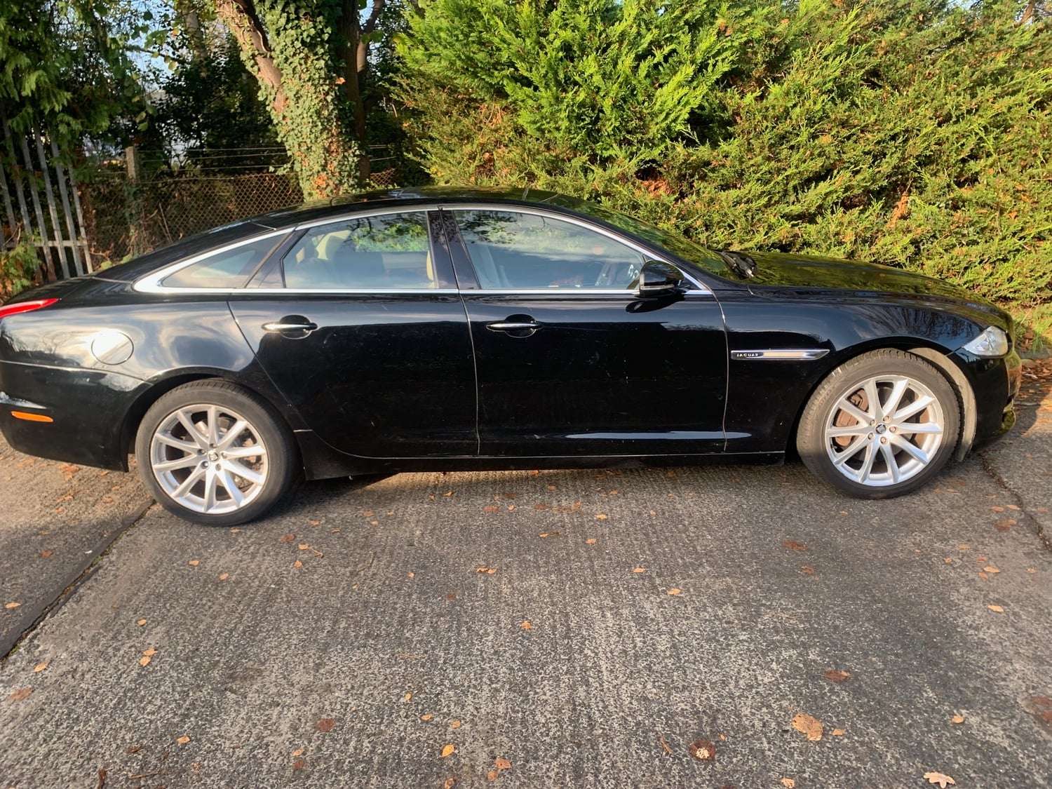 [ berth ]Jaguar XJ
