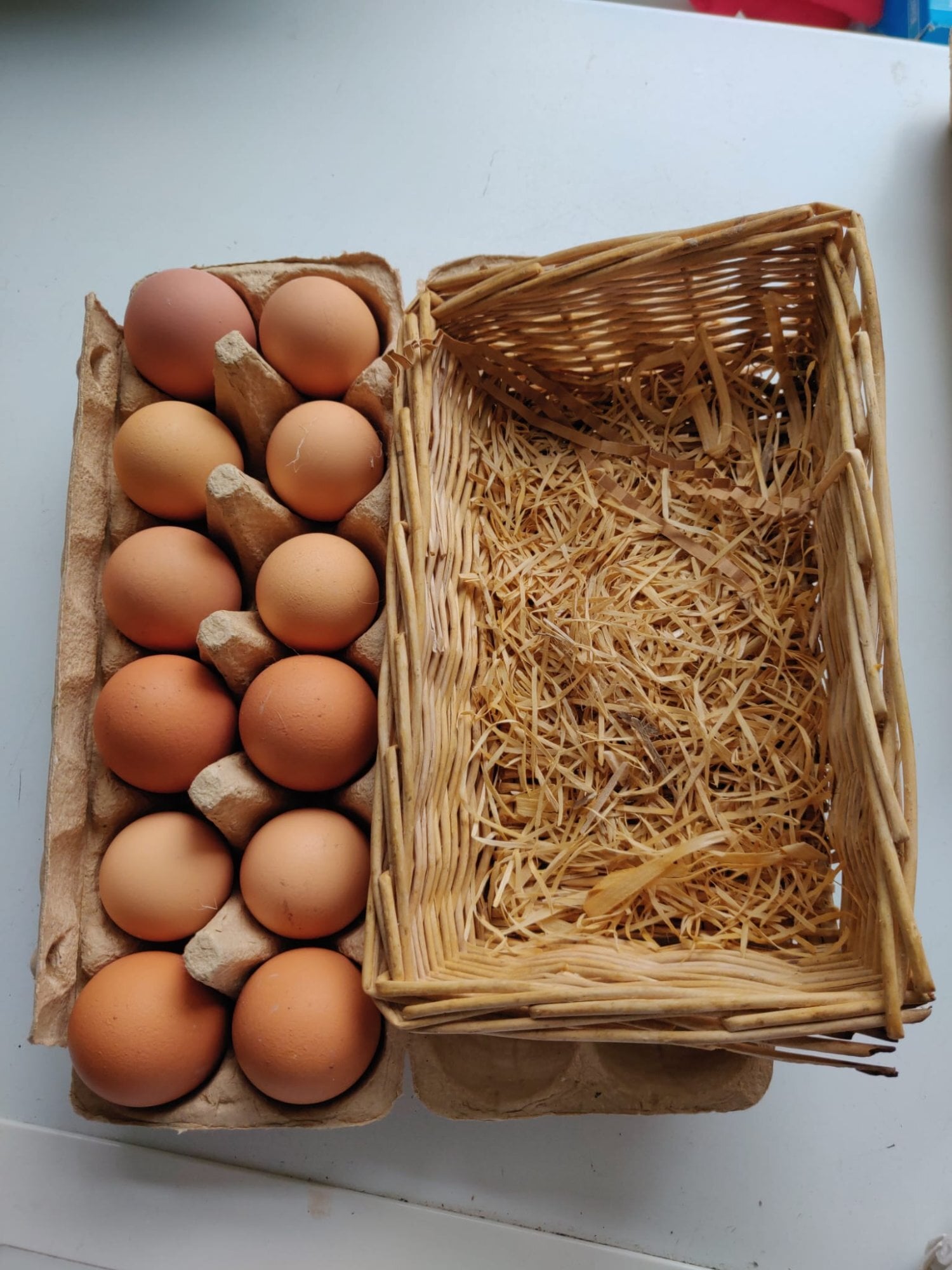 London Fertilized chicken eggs for Sale in London