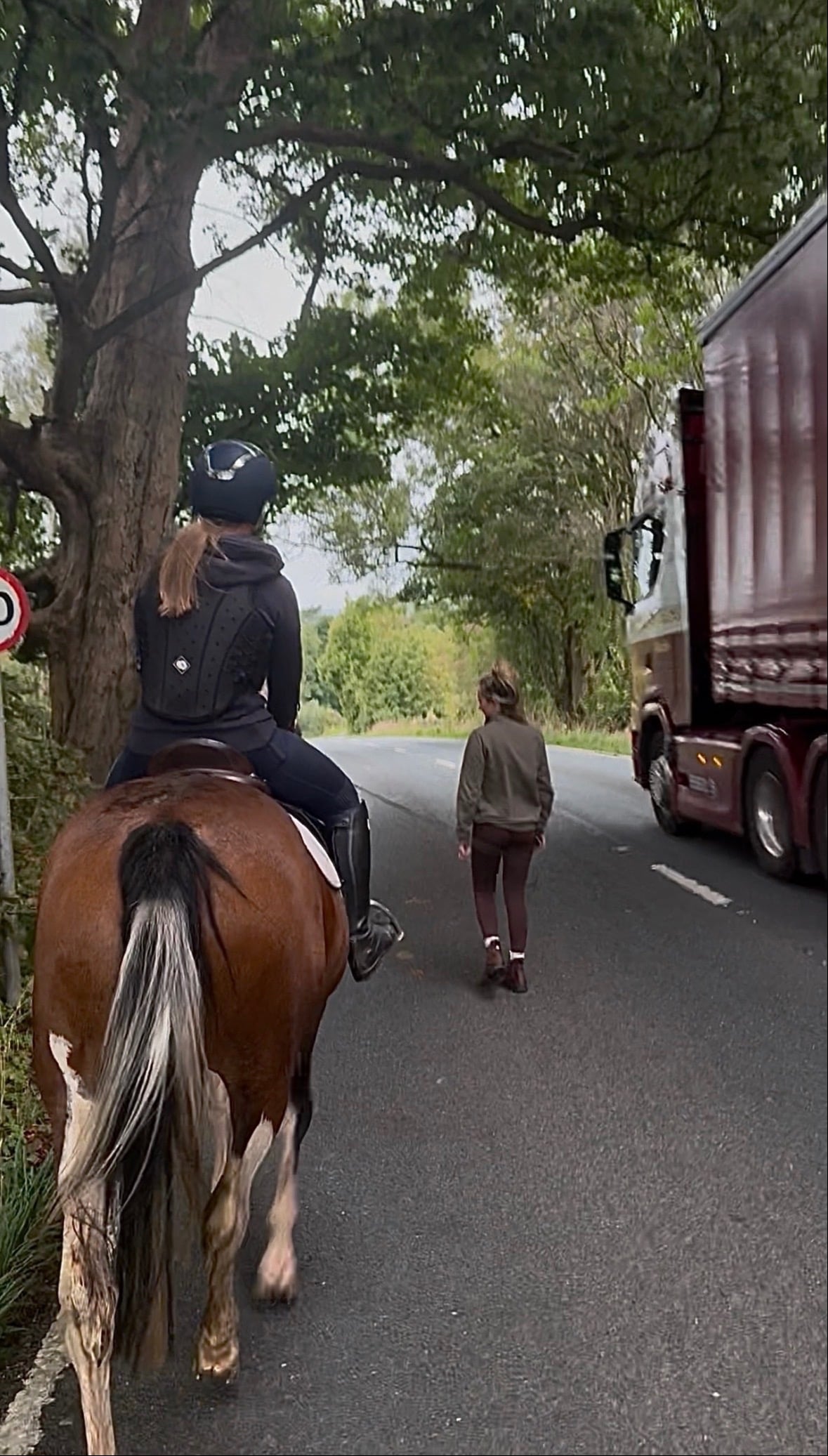 "Josie " Skewbald Mare All Rounder - Horses in Clitheroe