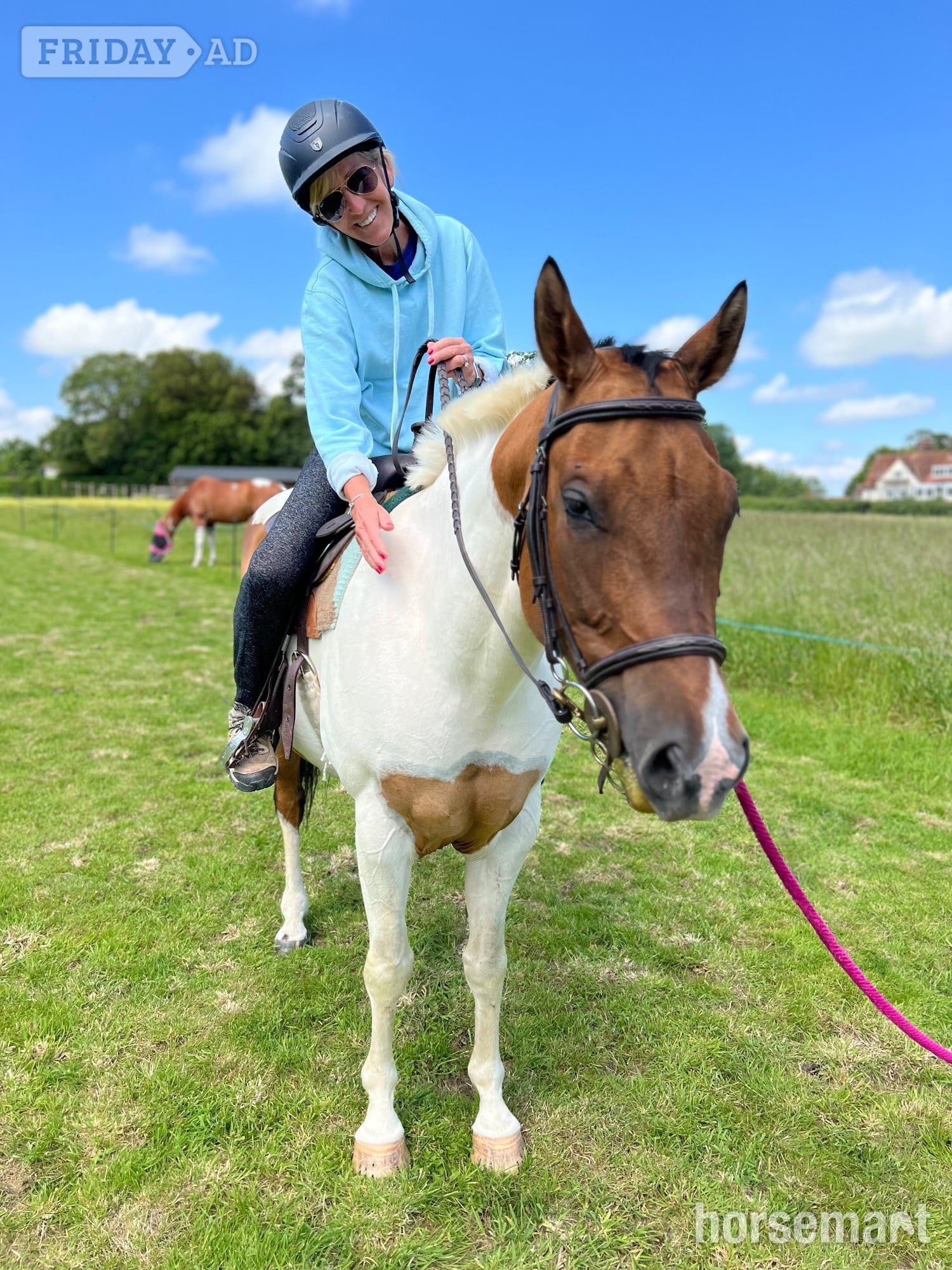 "Mister" Coloured Gelding All Rounder
