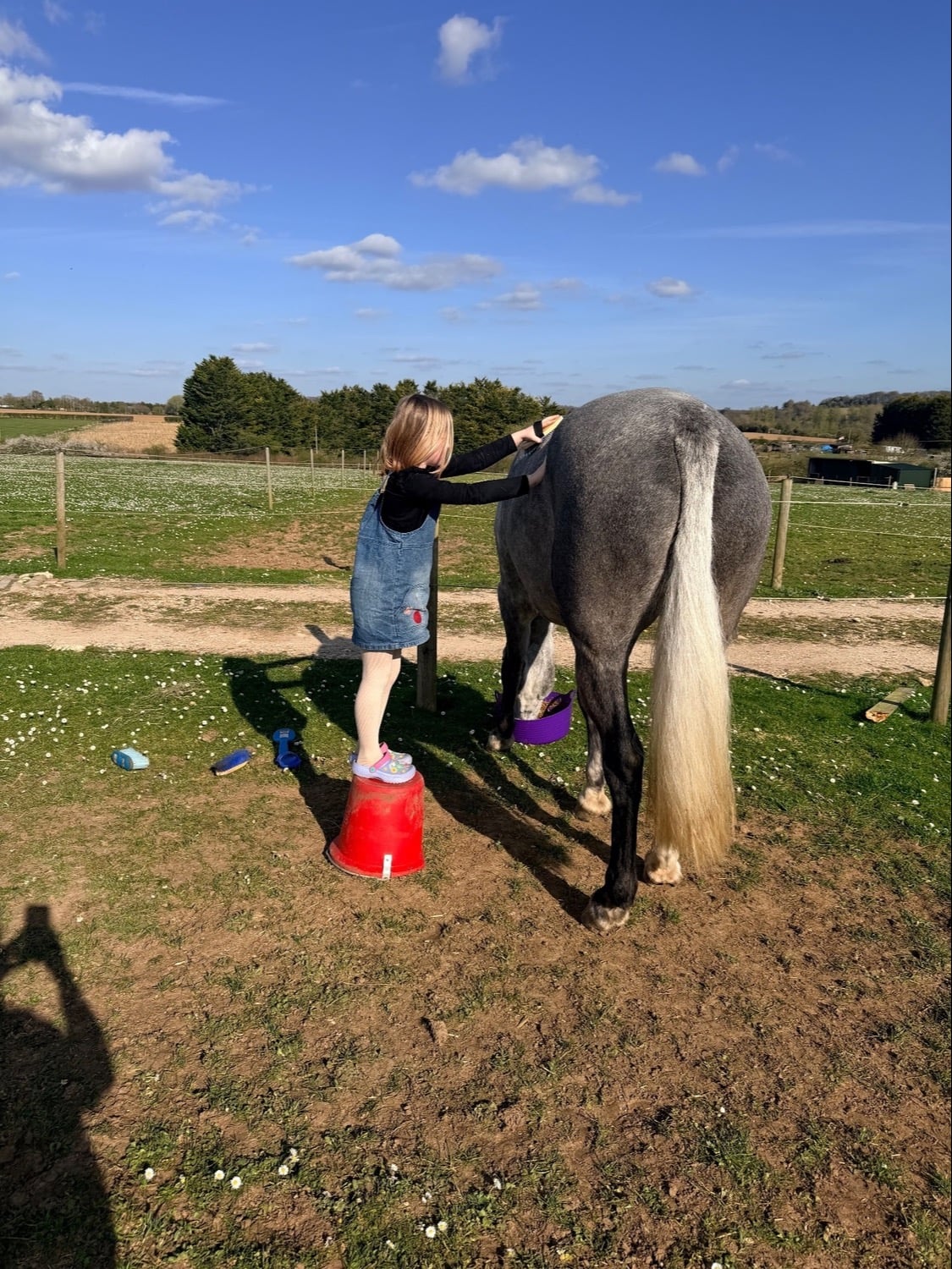 Andover "Fia " Grey Mare All Rounder