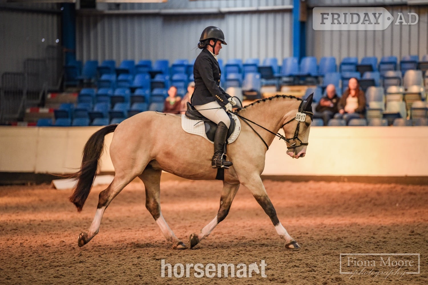 "Cookie" Buckskin Mare All Rounder