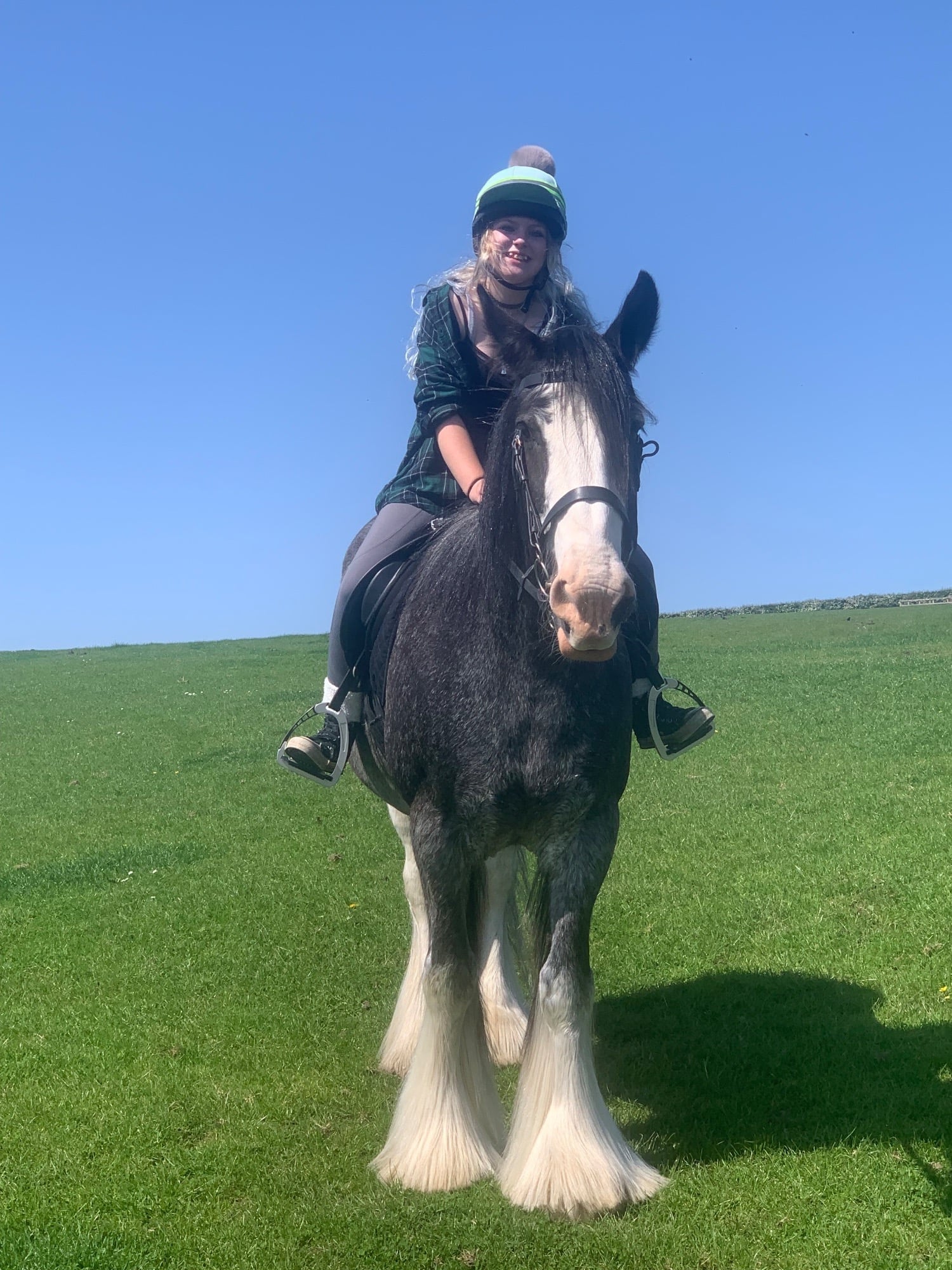 "Mollie" Roan Mare Family Horse
