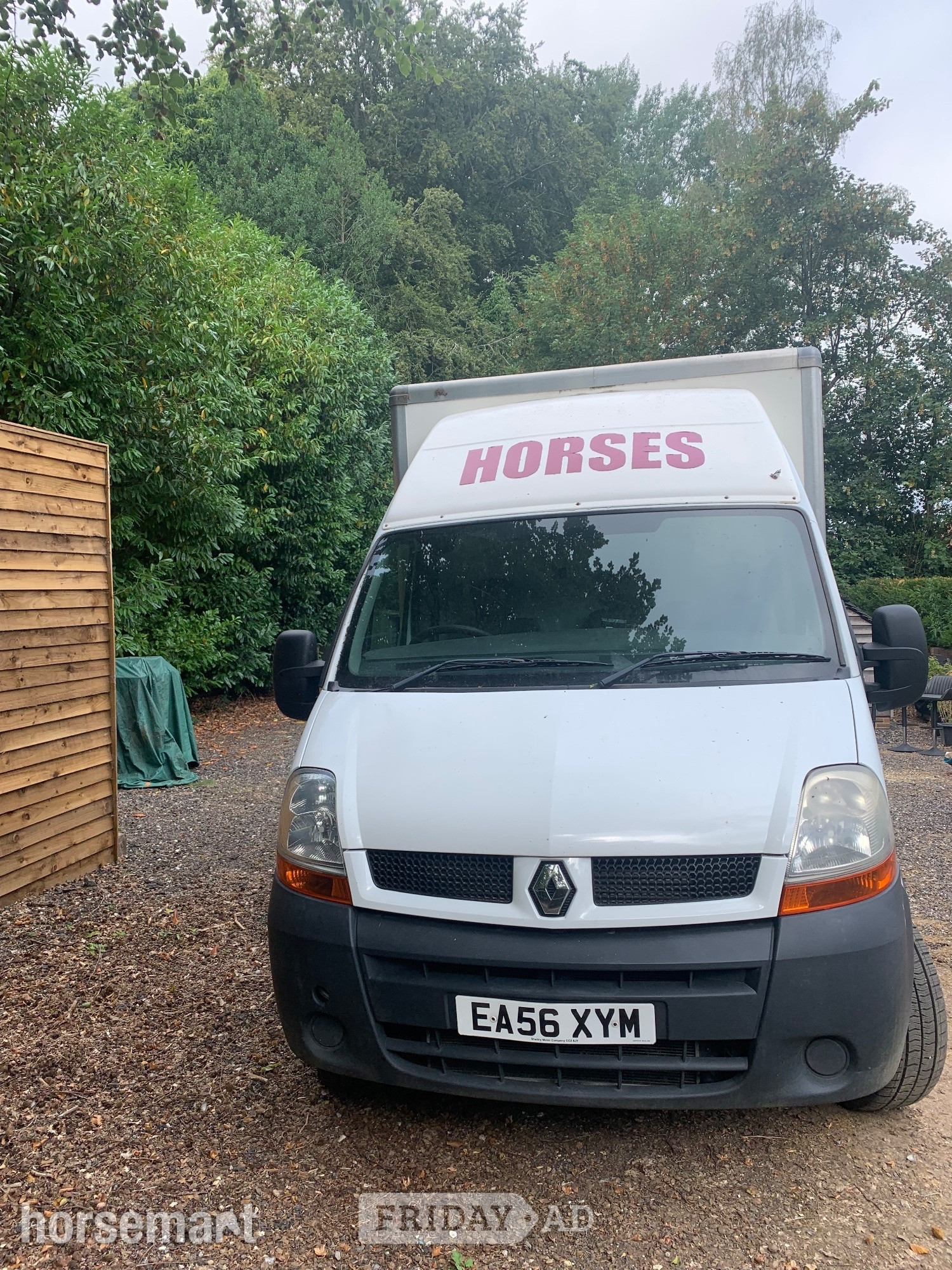Horsebox   Renault Master Horsebox - Trailers & Horseboxes