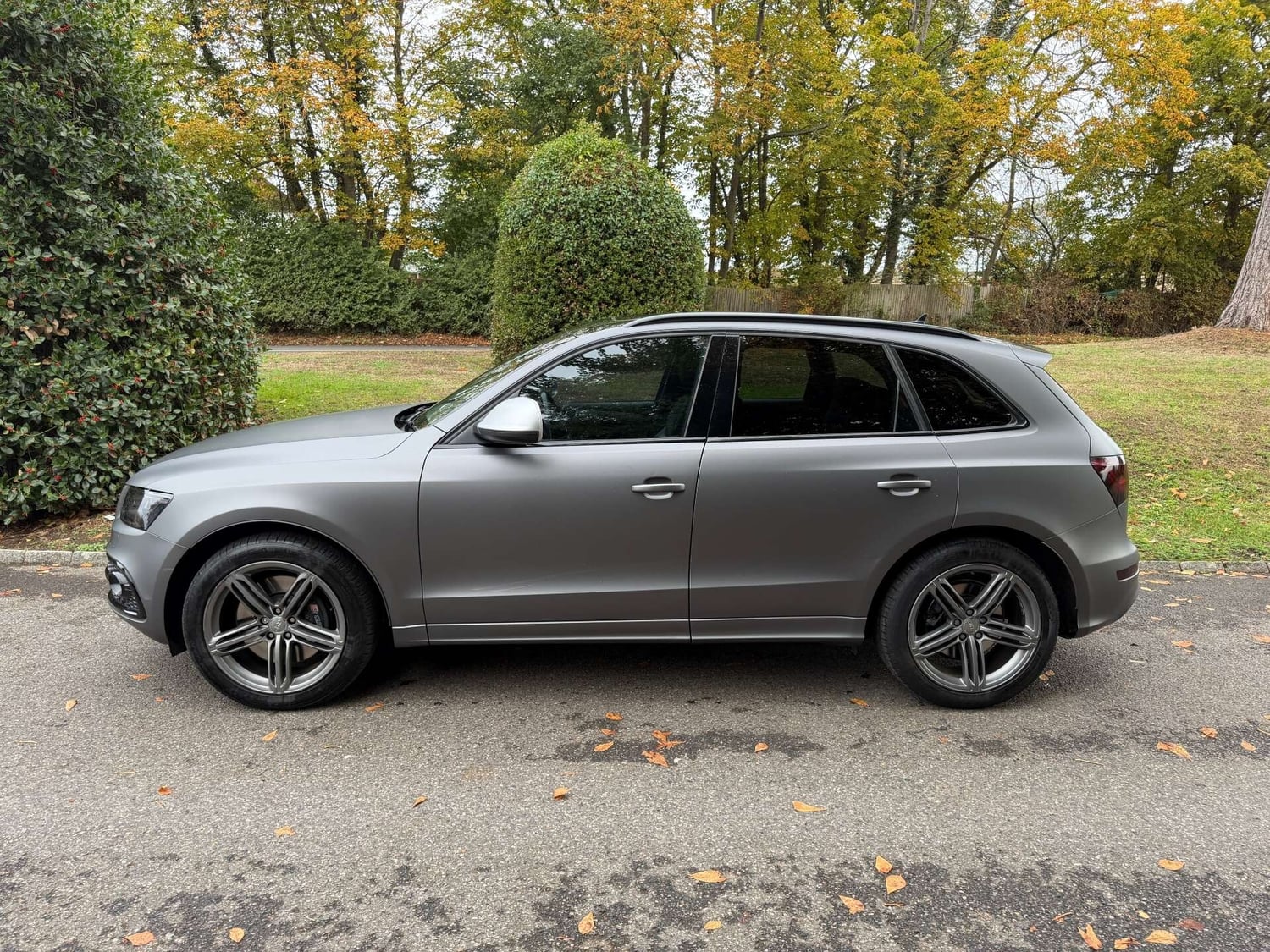 Audi SQ5 Leatherhead