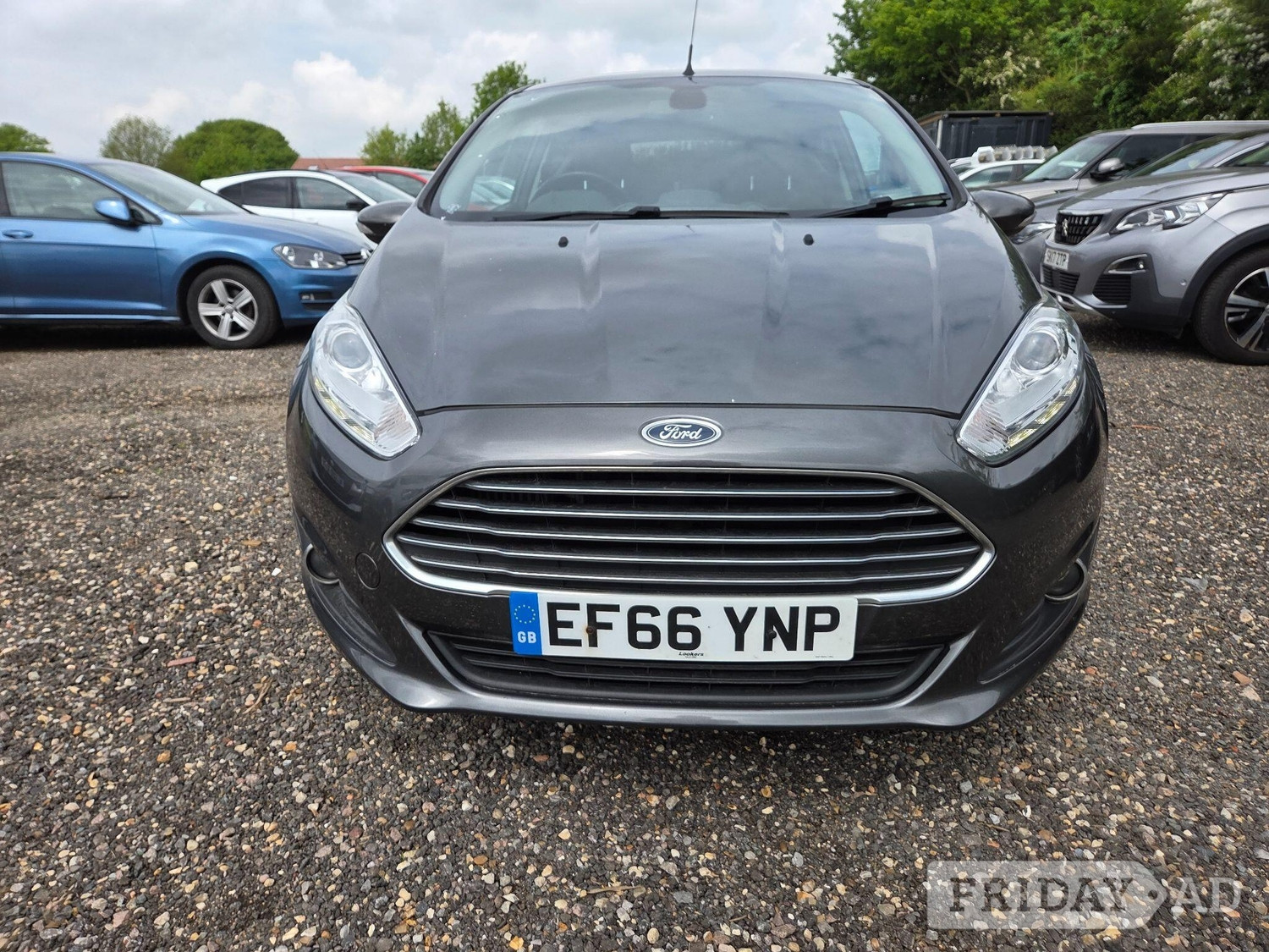 Ford Fiesta Knebworth