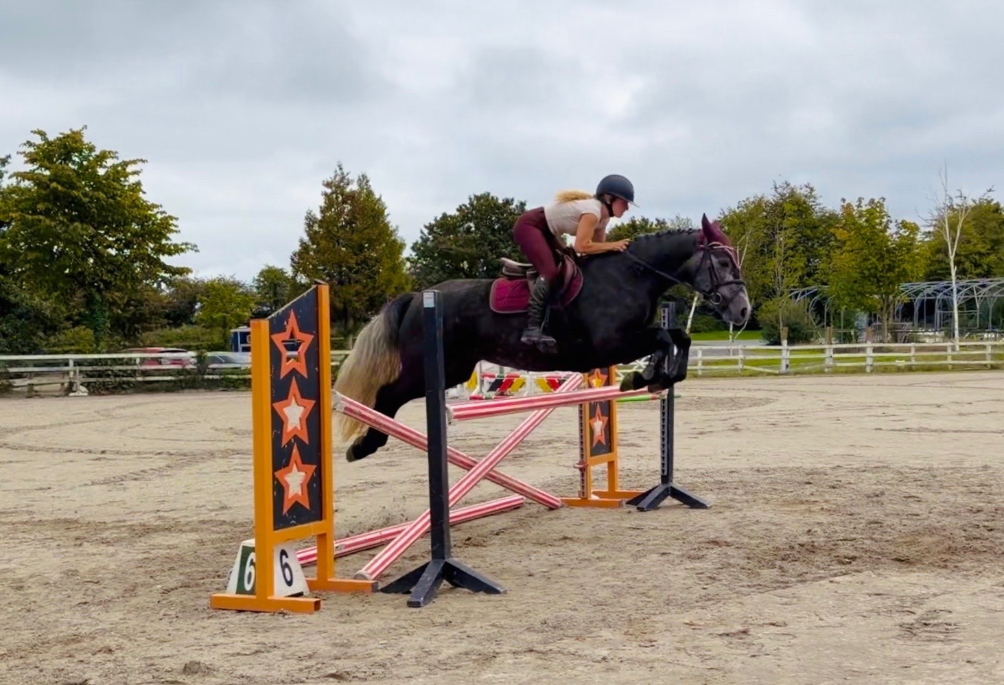 Raheen "Princess: gentle, easygoing, brave, sensible mother/daughter share" Iron Grey Mare All Rounder