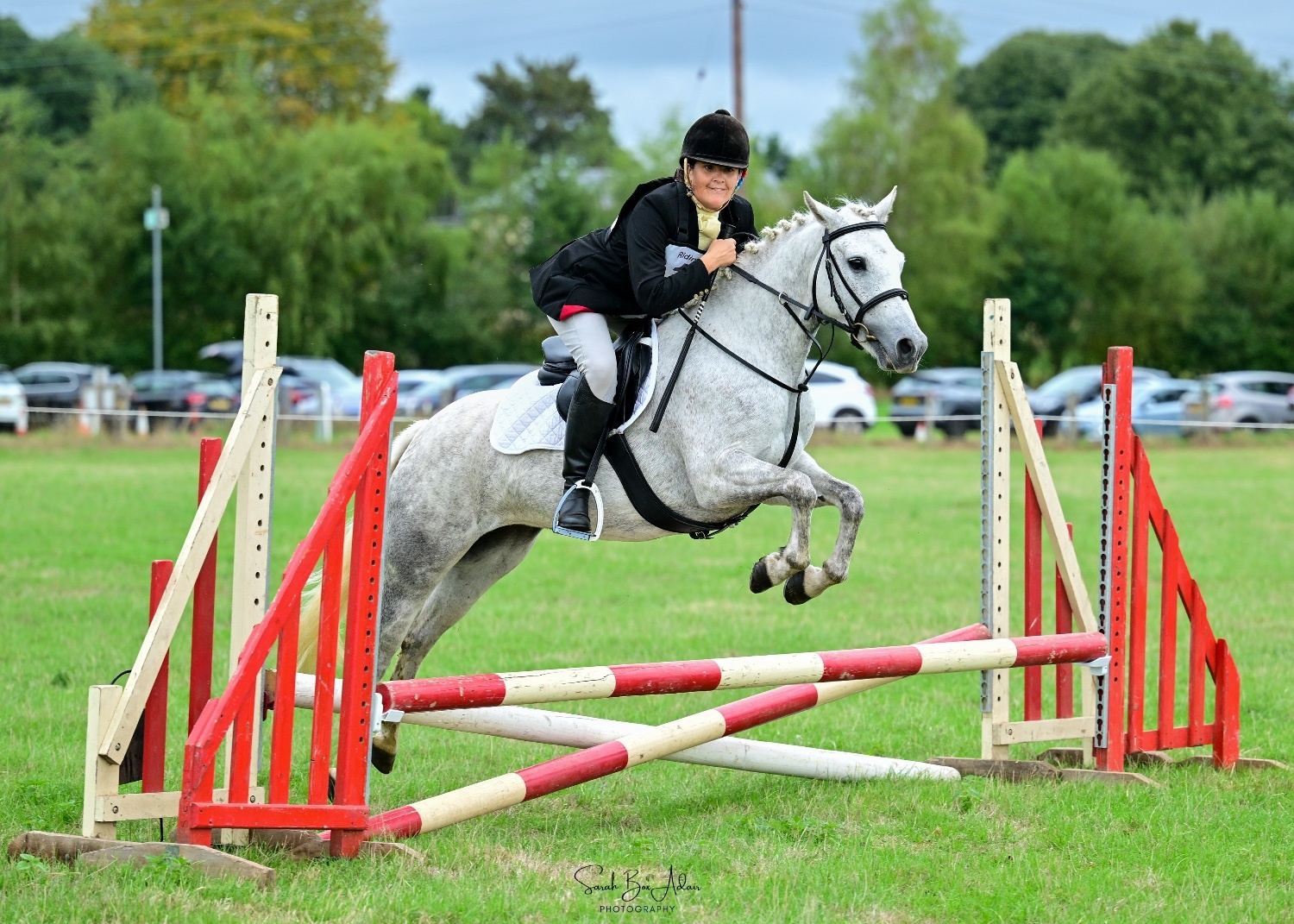 "Hettie" Grey Mare All Rounder - Horses