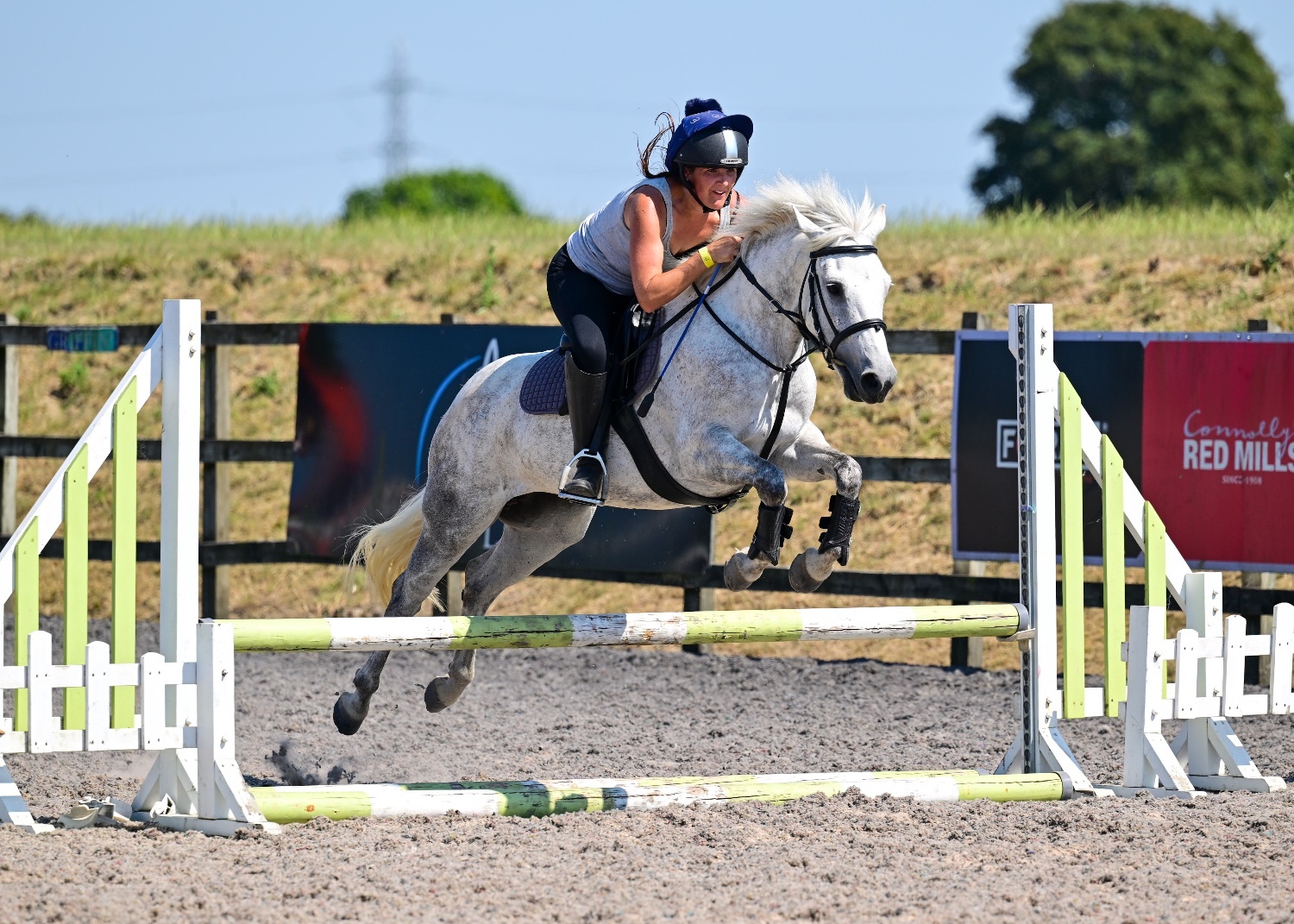 "Hettie" Grey Mare All Rounder - Horses in East Budleigh