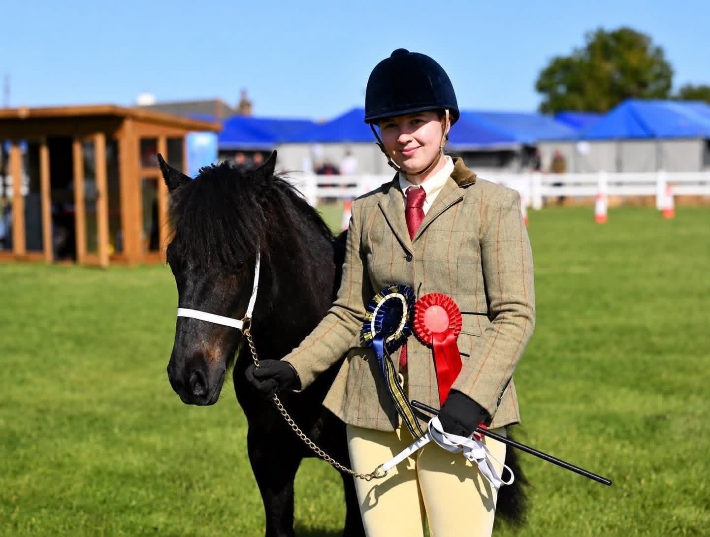 Tavistock "Hugo" Dapple Grey Gelding Youngstock / Foal