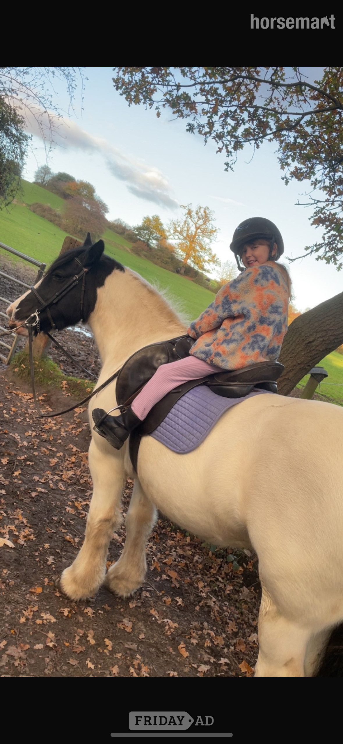 Esher Happy Hacker for full loan in view to buy