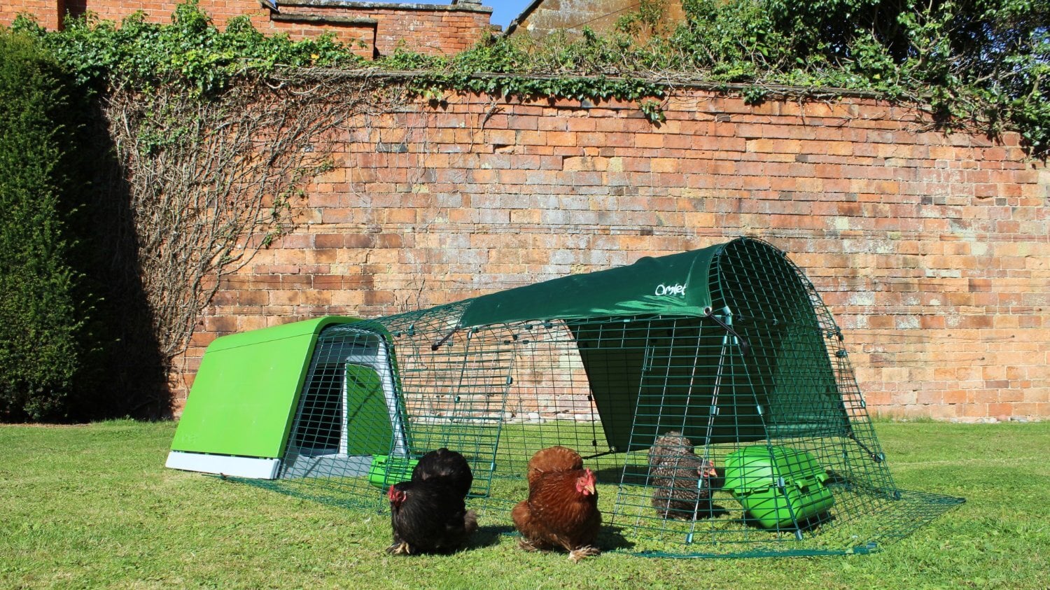 Leatherhead Omlet chicken coops