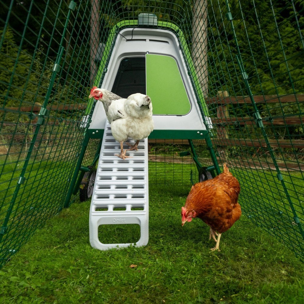 Omlet chicken coops -  in Leatherhead