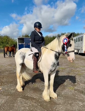 "Maisey" Blue &amp; White Mare All Rounder