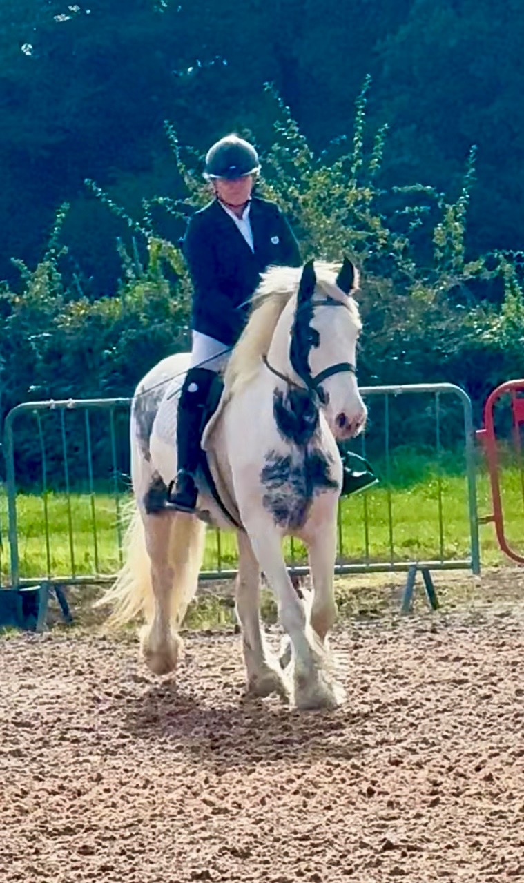 Telford "Maisey" Blue &amp; White Mare All Rounder