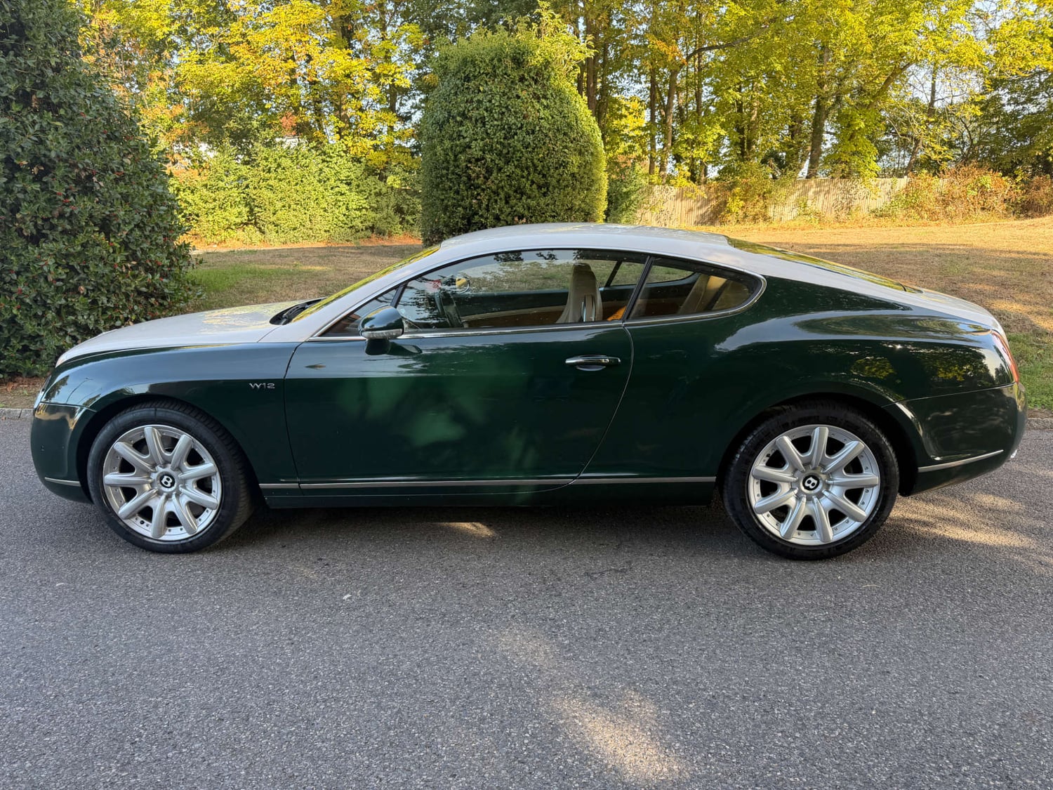 Bentley Continental Leatherhead