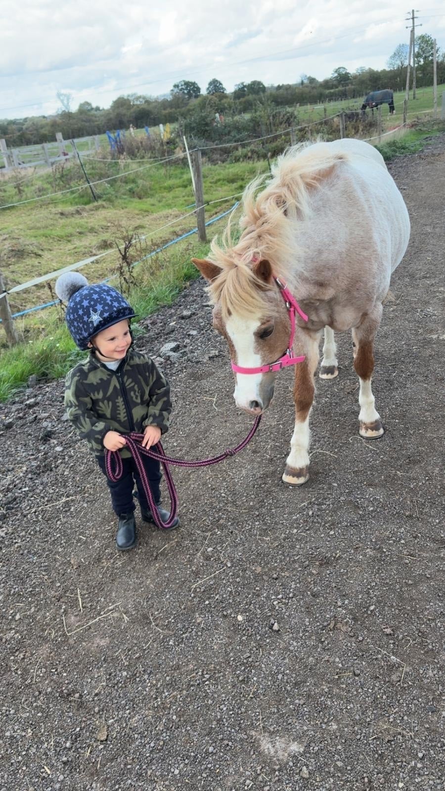 "Cindahren Serenade " Chestnut Roan Mare Lead Rein/First Ridden Pony