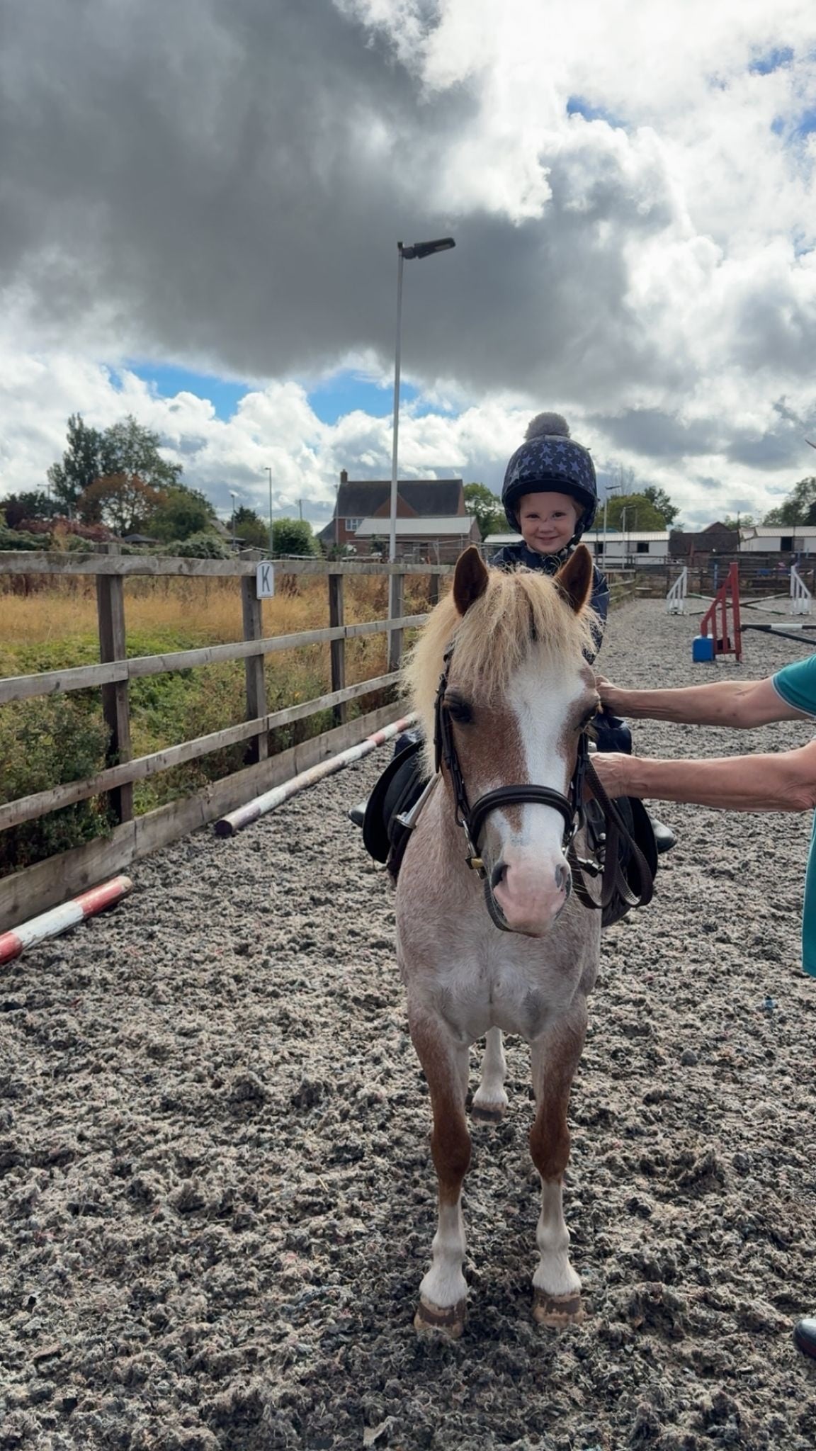 "Cindahren Serenade " Chestnut Roan Mare Lead Rein/First Ridden Pony - Horses in Chippenham