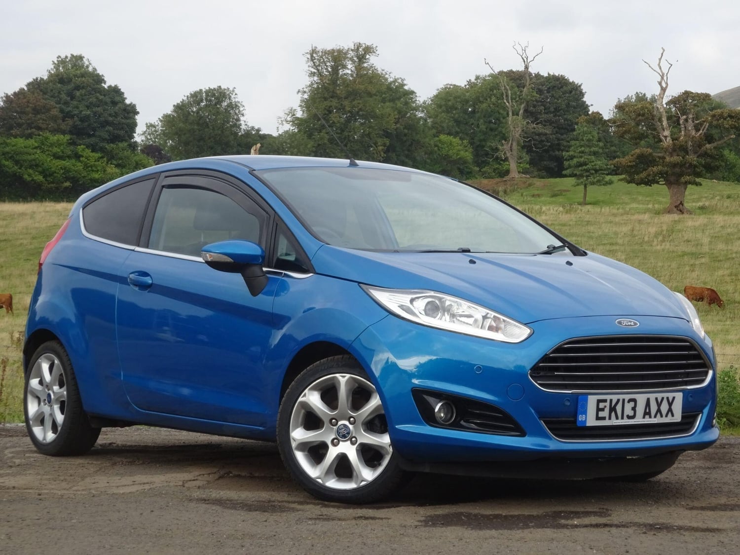 Ford Fiesta 2013 in Leven