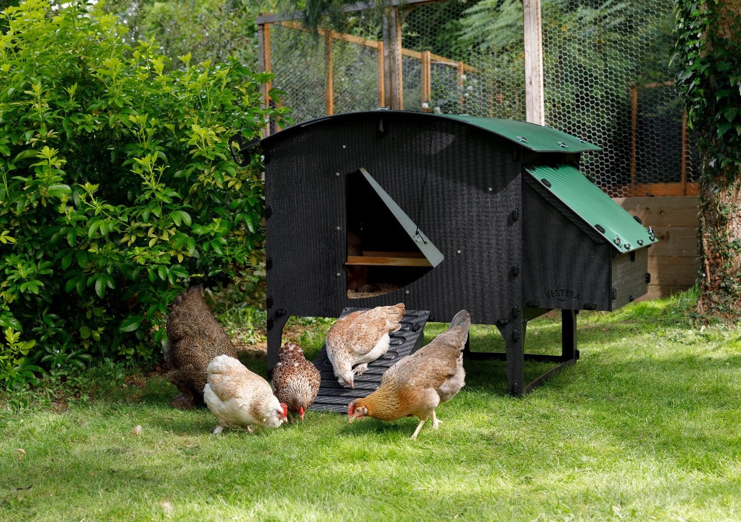 Leatherhead Chicken coops Nestera 100% recycled plastic