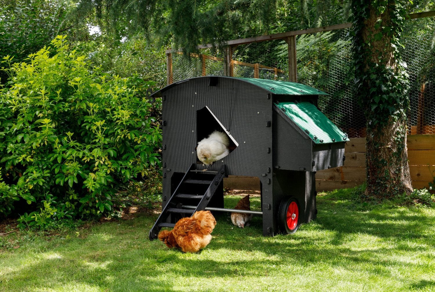 Chicken coops Nestera 100% recycled plastic -  in Leatherhead