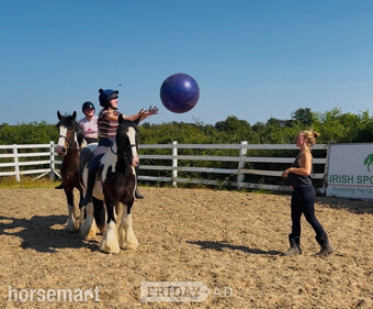 "Ranger: western &amp; english kid-safe Allrounder " Piebald Gelding All Rounder