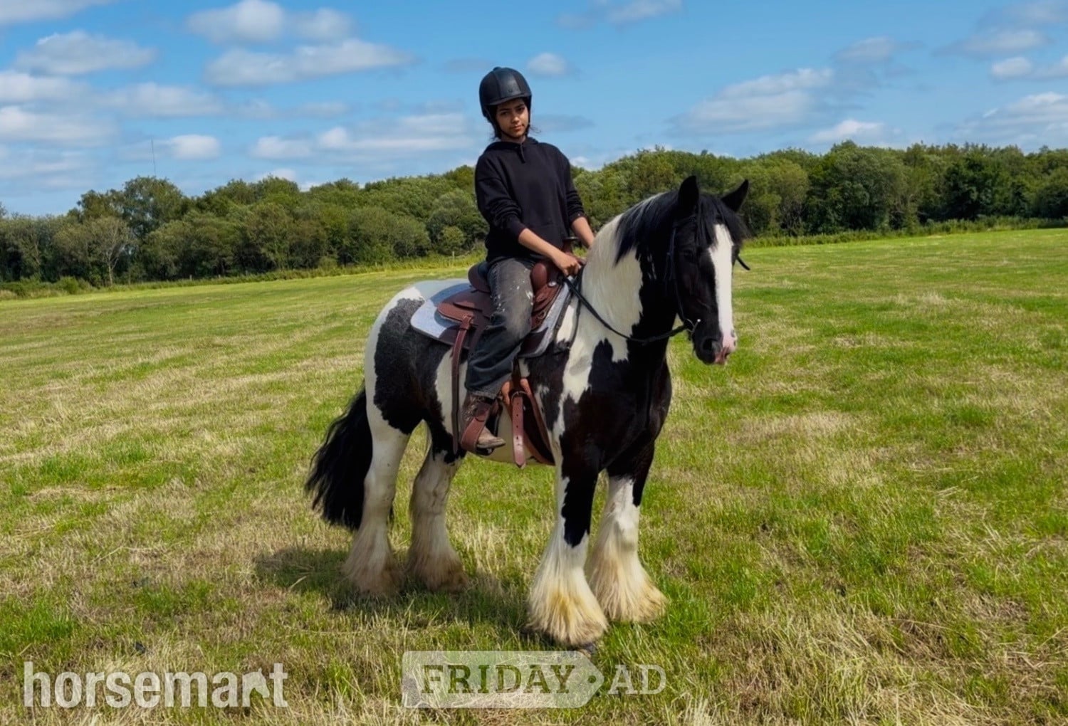 "Ranger: western &amp; english kid-safe Allrounder " Piebald Gelding All Rounder in Raheen