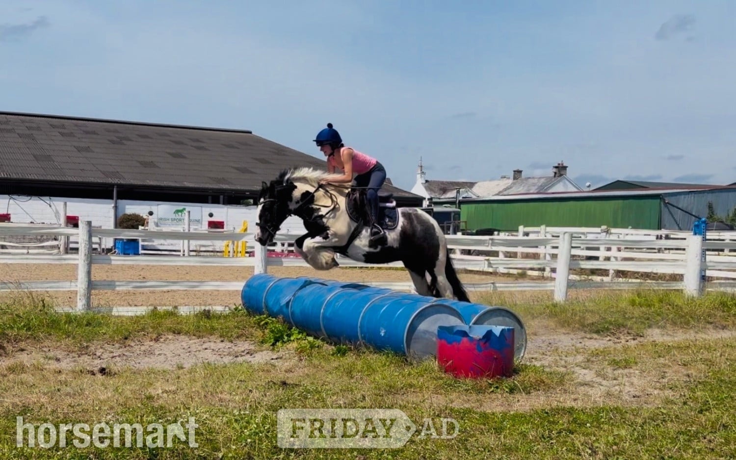 "Ranger: western &amp; english kid-safe Allrounder " Piebald Gelding All Rounder