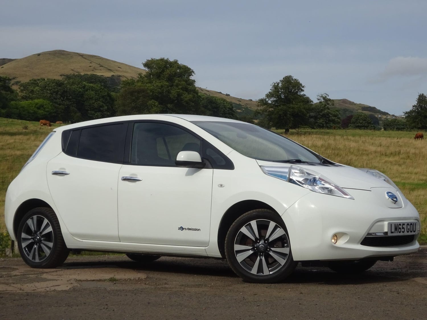 Nissan LEAF Leven
