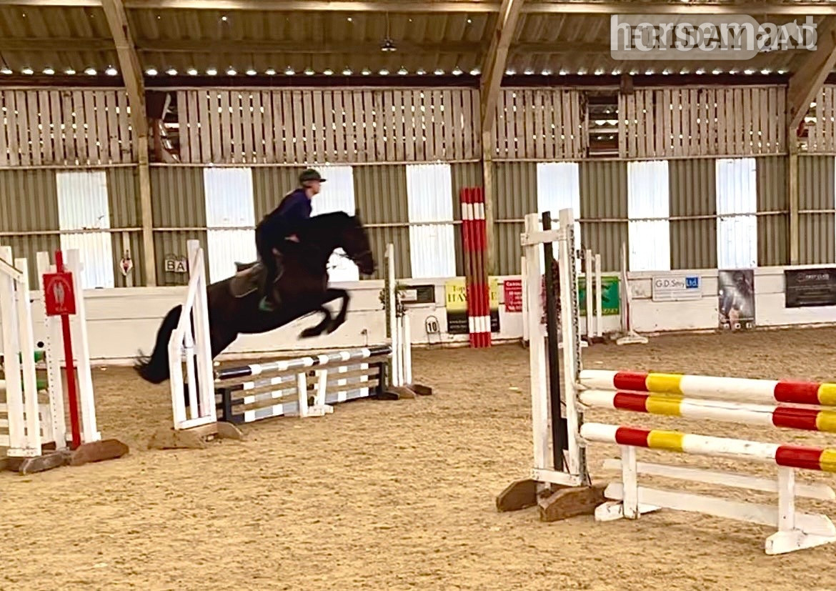 "Echo" Black Mare All Rounder - Horses in Staplehurst