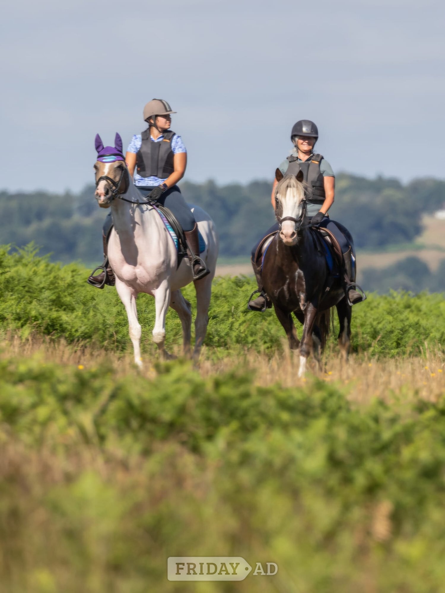 Uckfield "Disney" Other Colour Mare Project Horse