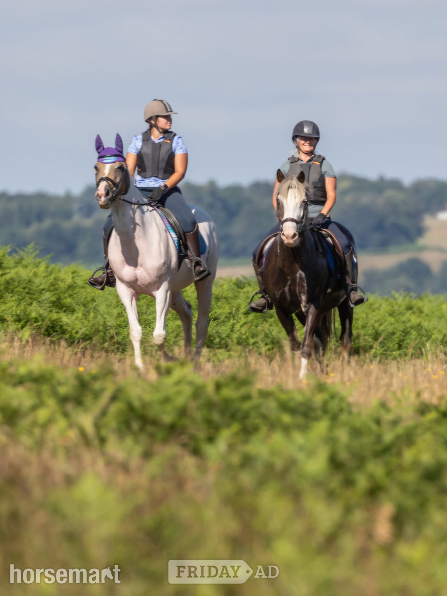 Uckfield "Disney" Other Colour Mare Project Horse