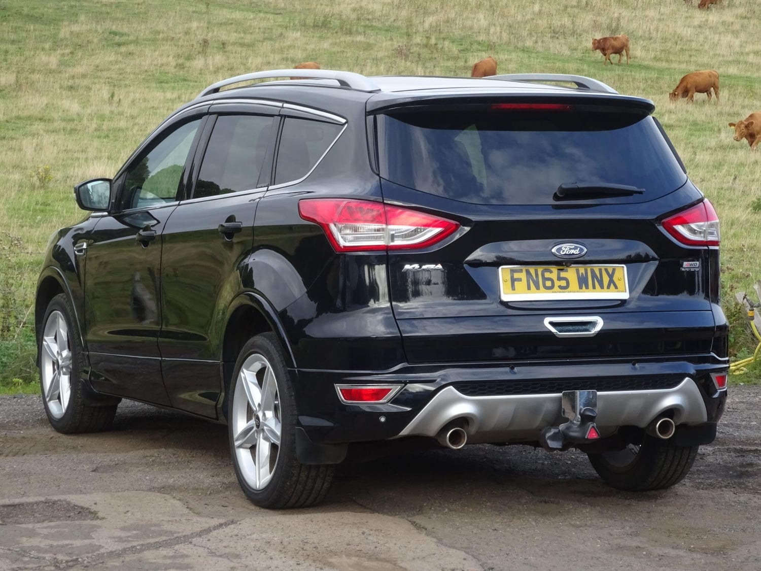 [ berth ]Ford Kuga