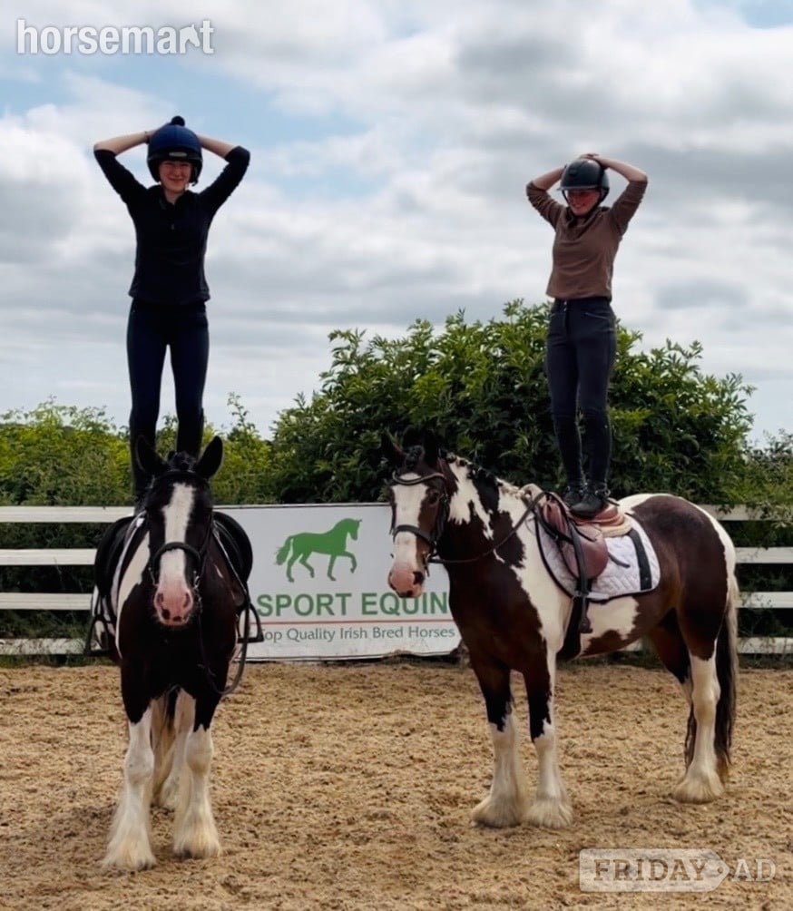 "Bella: incredibly quiet and easy, patient happy hacker" Skewbald Mare All Rounder in Raheen