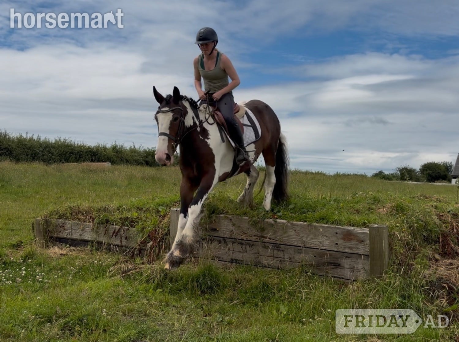 "Bella: incredibly quiet and easy, patient happy hacker" Skewbald Mare All Rounder