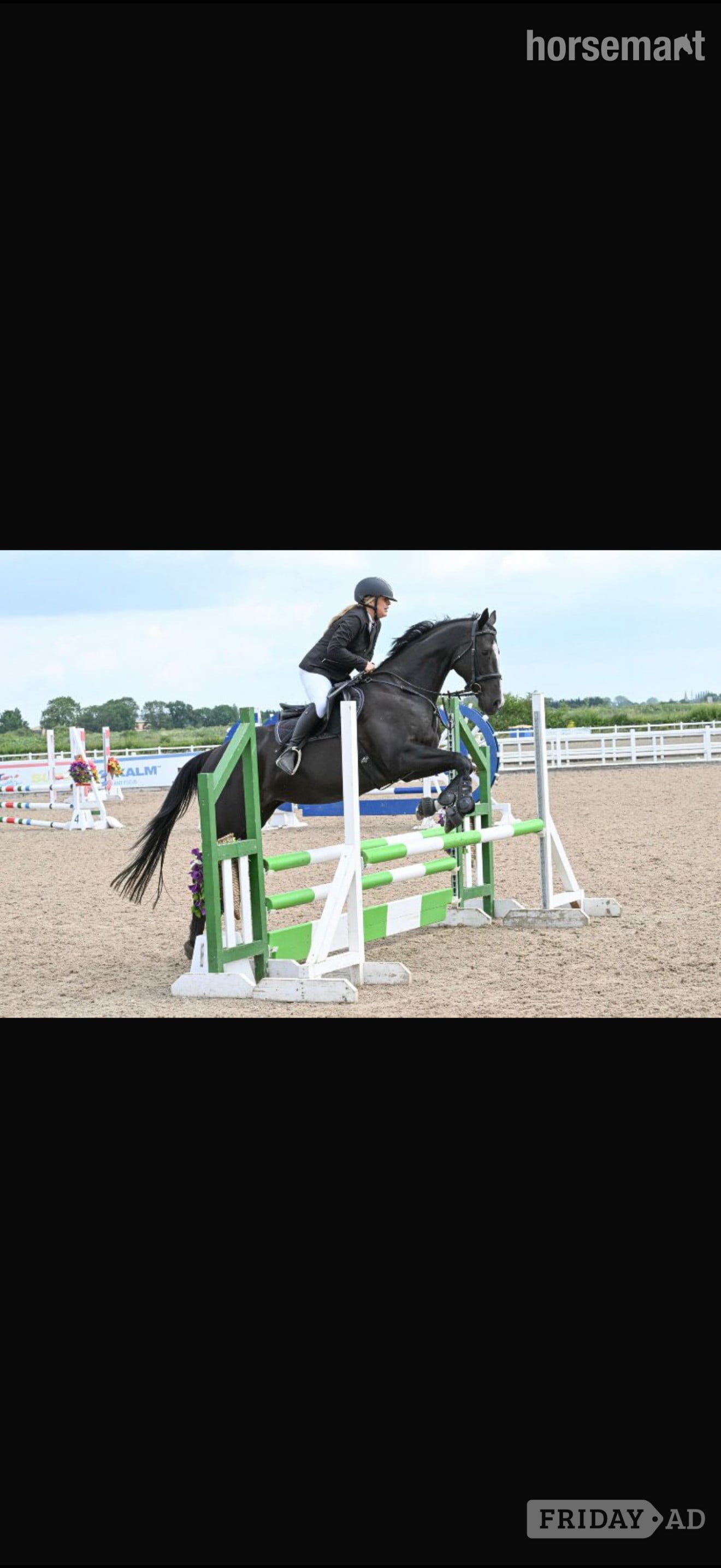 "Dorris" Black Mare All Rounder in Gainsborough